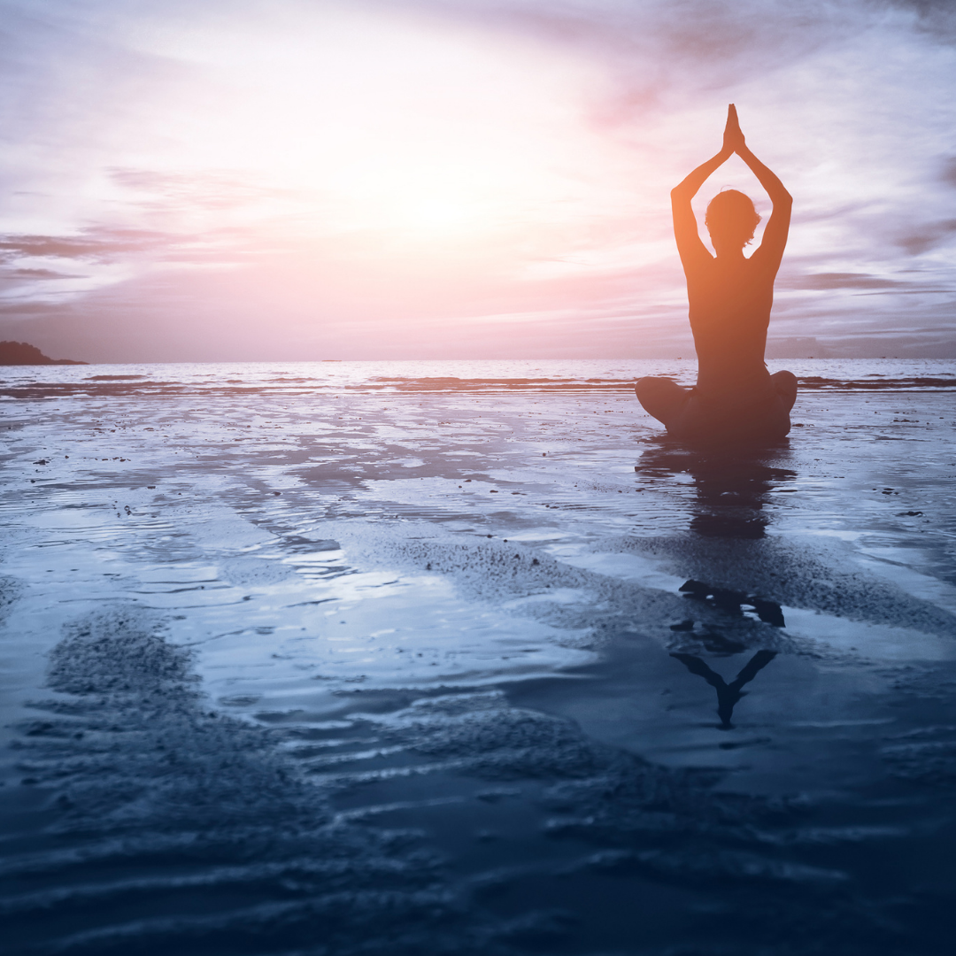 Untitled design (53)