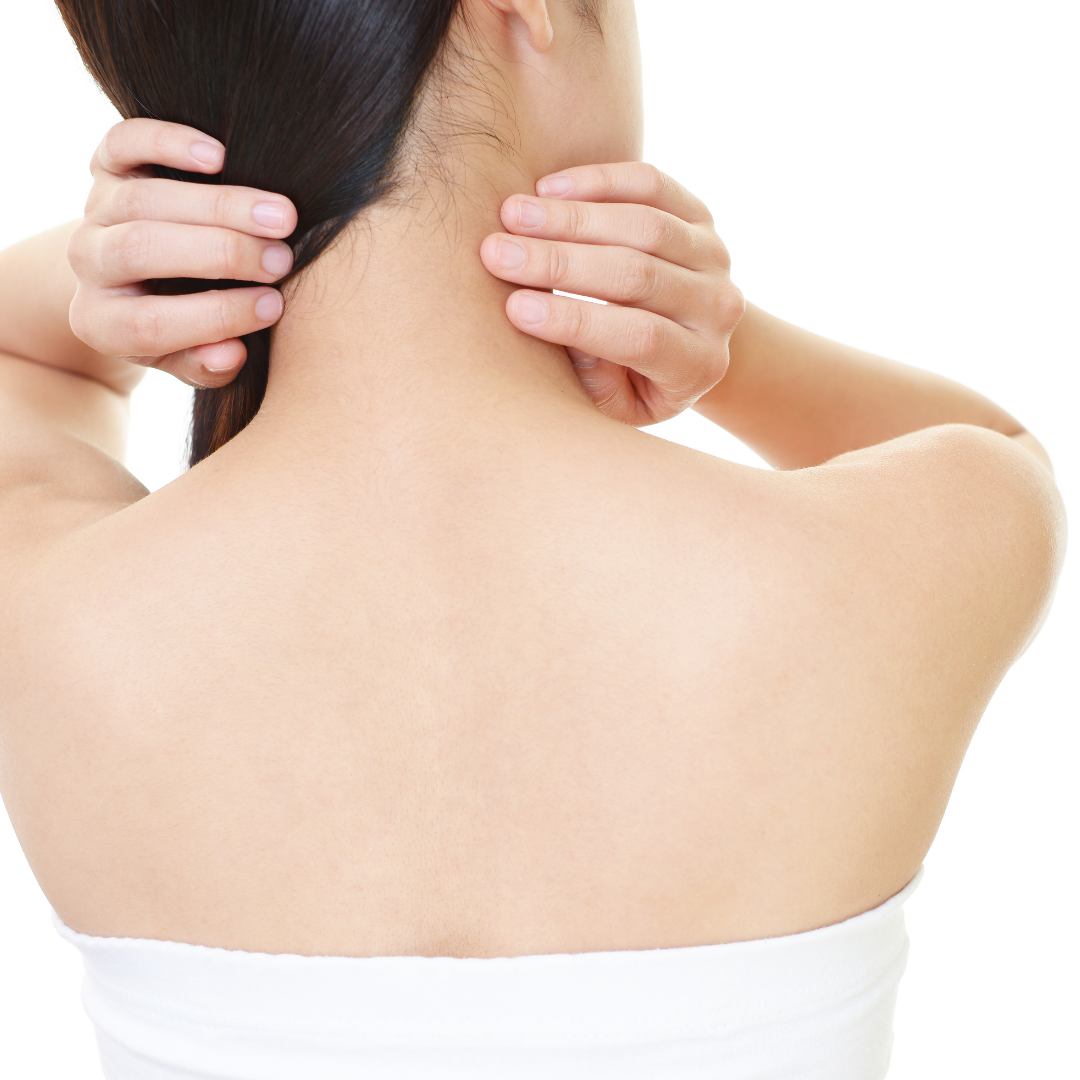 Untitled design (54)